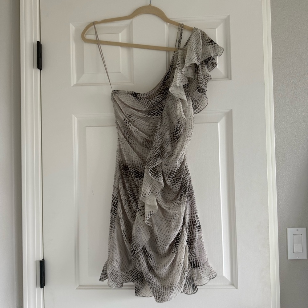 NWT Zara Animal Print Dress